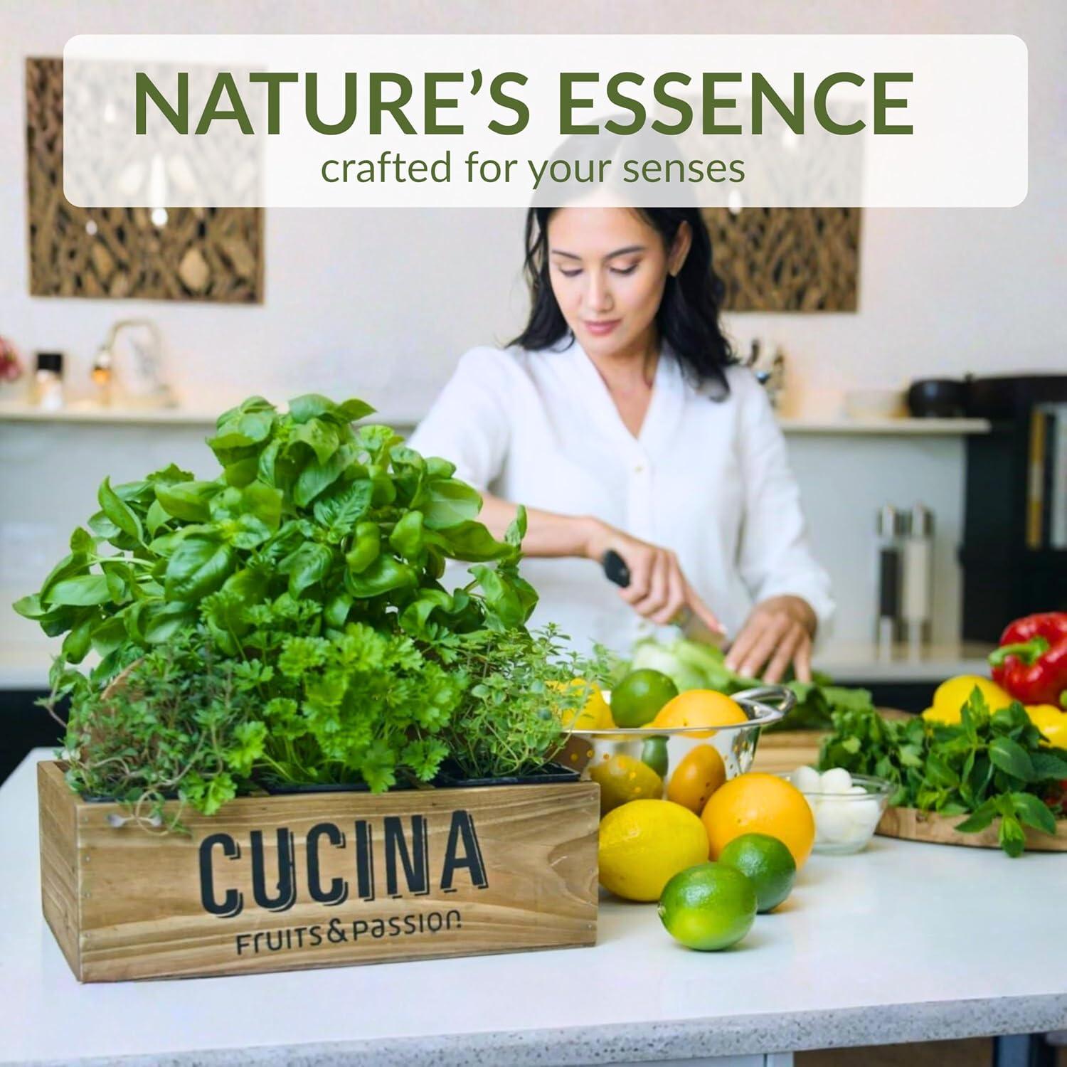image:imageCucina Coriander and Olive Tree 338 oz Purifying Hand Wash Refill