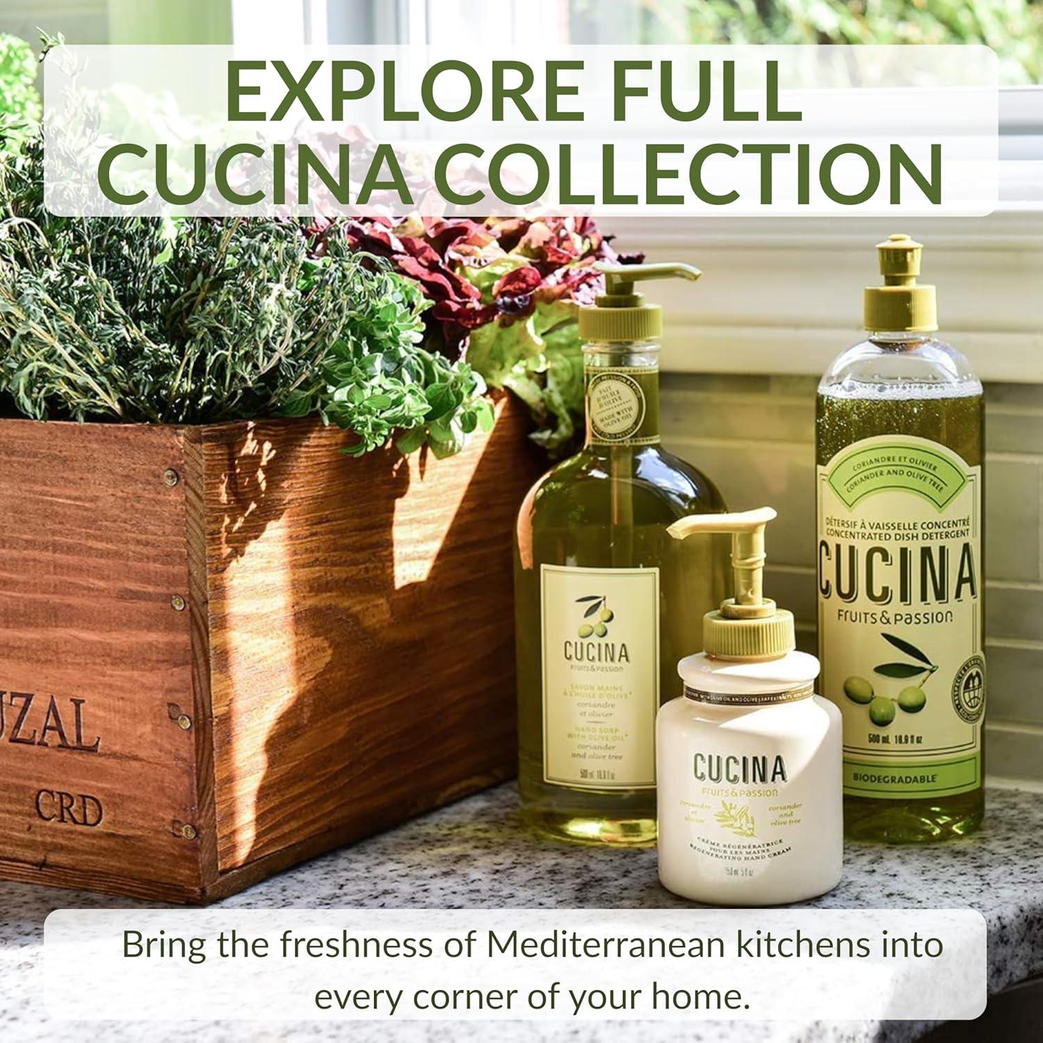 image:imageCucina Coriander and Olive Tree 338 oz Purifying Hand Wash Refill