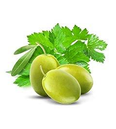 image:imageFruits amp Passion Cucina Coriander amp Olive Tree Hand Soap 676 fl oz Luxury Scented Kitchen Liquid Hand Soap Vegan Natural Moisturizing Hand Wash in Premium Glass Hand Soap Dispenser