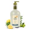 image:imageFruits amp Passion Cucina  Sea Salt and Amalfi Lemon Hand Soap Kitchen Liquid Hand Soap VeganFriendly Natural Moisturizing Hand Wash in Glass Hand Soap Dispenser 169 fl oz