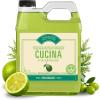 image:imageFruits amp Passion Cucina Concentrated Dish Soap Refill Lime Zest amp Cypress Gentle Liquid Dishwashing Detergent with Olive Oil Vegan amp Biodegradable Formula 1 Liter 338 fl oz338 Fl Oz Pack of 1